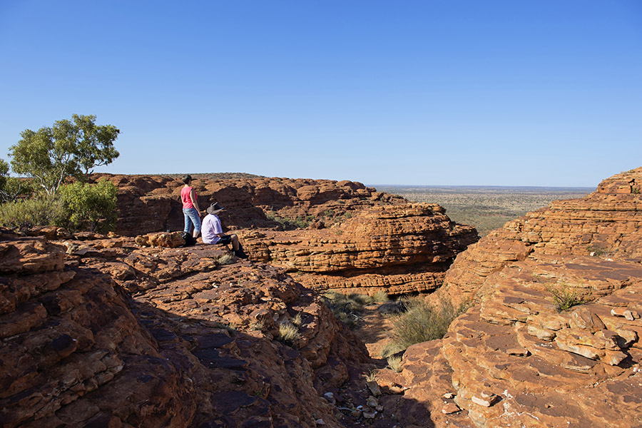 Adventure Across the Outback in Total Comfort with Emu Run Experience