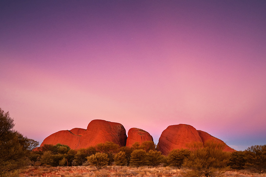 Kata Tjuta Walpa Gorge Tour - Emu Run Experience