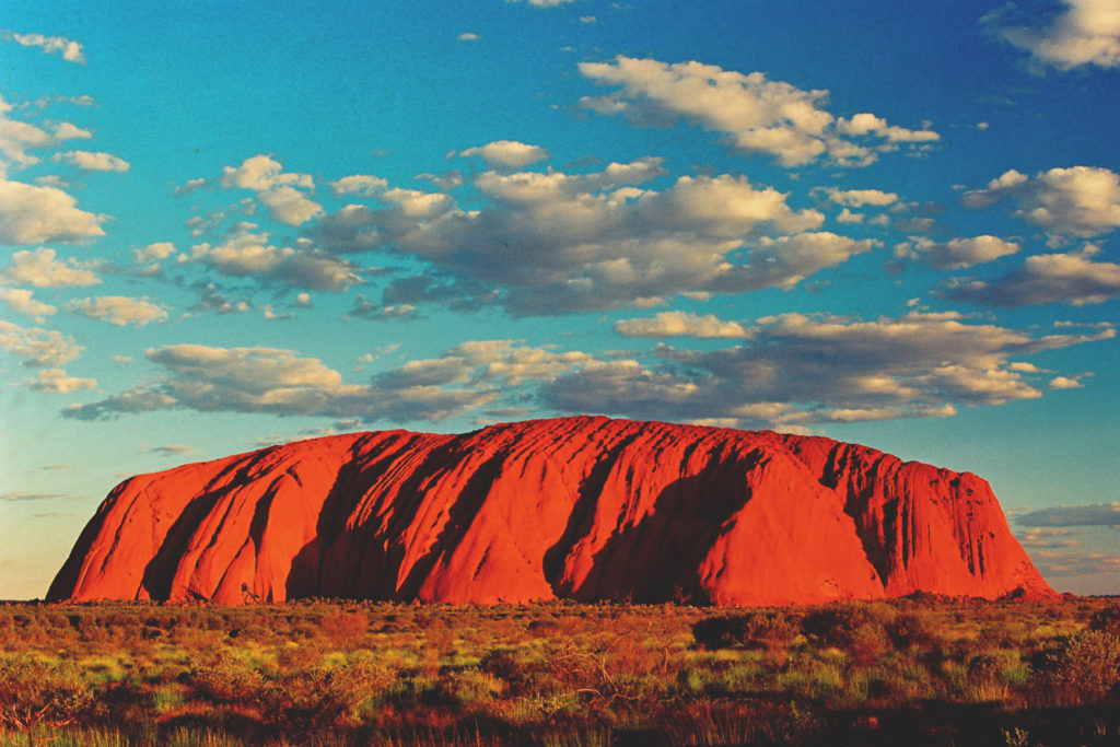 The Mystery Behind Magical Uluru Emu Run Experience